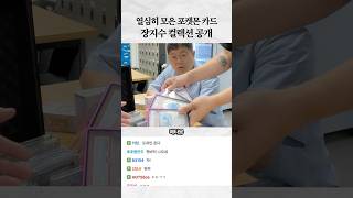 포켓몬카드 컬렉션 대공개!