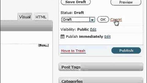 Wordpress blog posting tutorial video #3
