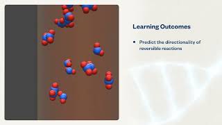 Equilibrium | Virtual Lab