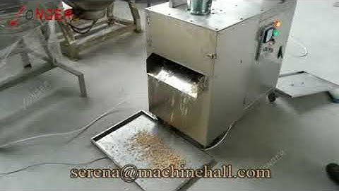 Automatic Almond Flak Cutting Machine|Peanut Slicer|Nuts Slice Cutting Equipment Youtube Video