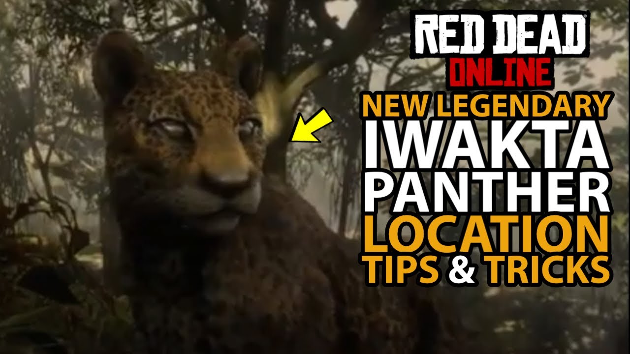 Red Dead Online Panther Location – VHKTX