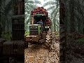 Inside a BILLION Dollar Palm Oil Factory! 🌴🏭 | How Palm Oil Is Made