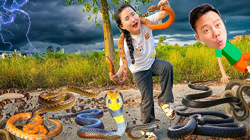 Changcady truy tìm con rắn, phát hiện ra rắn khổng lồ, rắn siêu ngắn