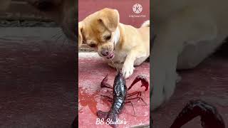 आज की रात #comedy #video #story #youtube