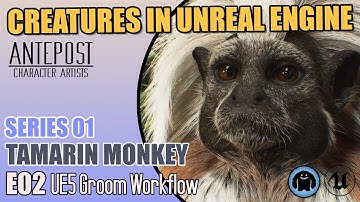 CREATURES IN UNREAL ENGINE - S01 Tamarin Monkey - E02 UE Groom Workflow