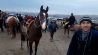 03 CHIROQCHI MOL BOZORI 12,02,2020