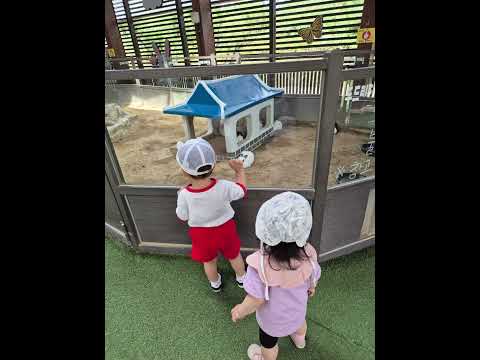 산토끼노래동산 토끼띠 친구 데이트 1살 아기브이로그 아기영상