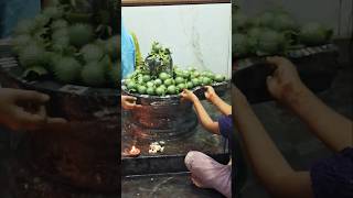 mujhe rass aa Jaya hai #synthetics video song #shiv nam#ytvideo