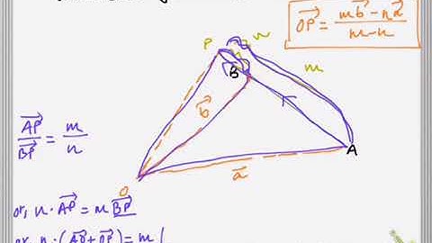 Section external division Vector theorem proof question for SEE and grade 10 explained!