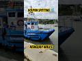 Newquay Wales Dolphin Boat Trip