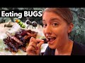 Trying Bugs & Pulque for the First Time | Escamoles, Chapulines, Chinicuiles in Playa del Carmen
