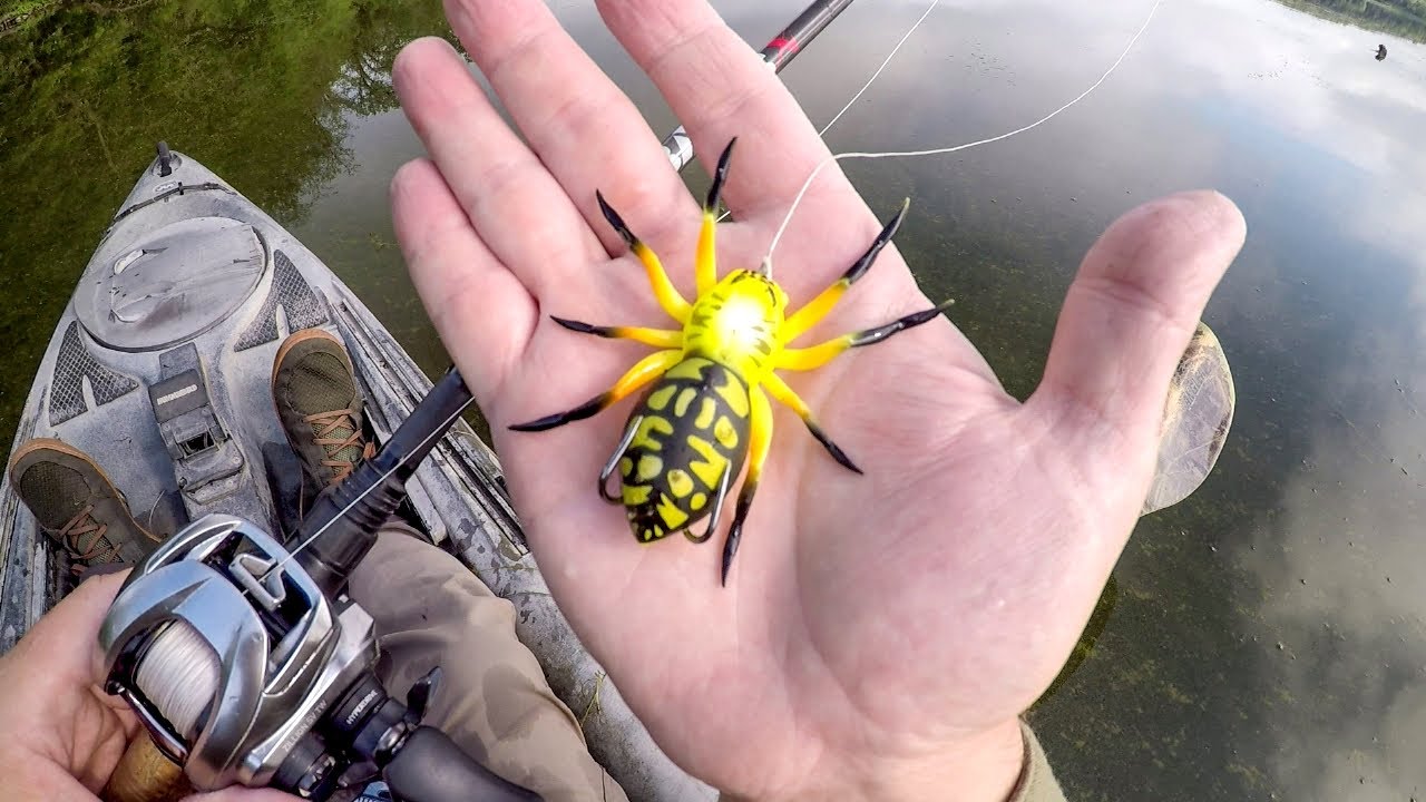 best bass lure small creek Freshwater: Top Water Bronze