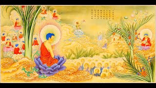 Amida Buddha is not the judge or the creator of this world of suffering