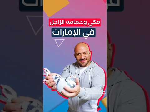 احمد مكي يفوز بسباق الحمام الزاجل في الامارات محمد والحمام