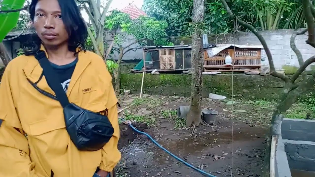 Trio Farm Omah Belut Purwokerto Hari ini kedatangan Tamu 082134304944