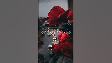 (وَما تَوفيقي إِلّا بِاللَّهِ)القارئ الشيخ ياسر الدوسري #ياسر_الدوسري