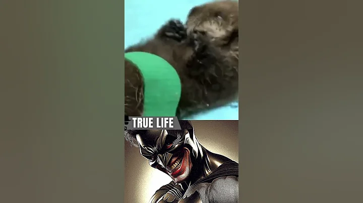 Real life hero #shorts #memes #hero #batman #starman #love #animals #wholesome #kindness #viralvideo