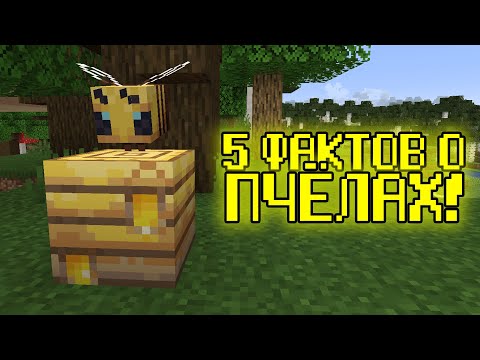 5 ФАКТОВ О ПЧЁЛАХ - Майнкрафт
