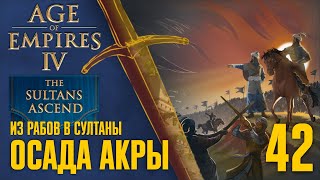 Осада Акры 🏰 Прохождение Age of Empires 4 #42 [Восхождение султанов: Из рабов в султаны]