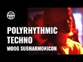 Creating polyrhythmic techno  moog subharmonicon  thomann