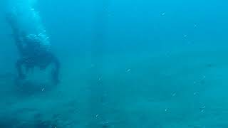 MVI_7729.AVI