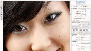 Photoshop CS5 Liquify Demo on a Pretty Asian Model