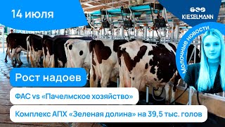 Новости За 5 Минут Рост Надоев, Фас Vs Пачелмское Хозяйство, Комплекс Апх Зеленая Долина