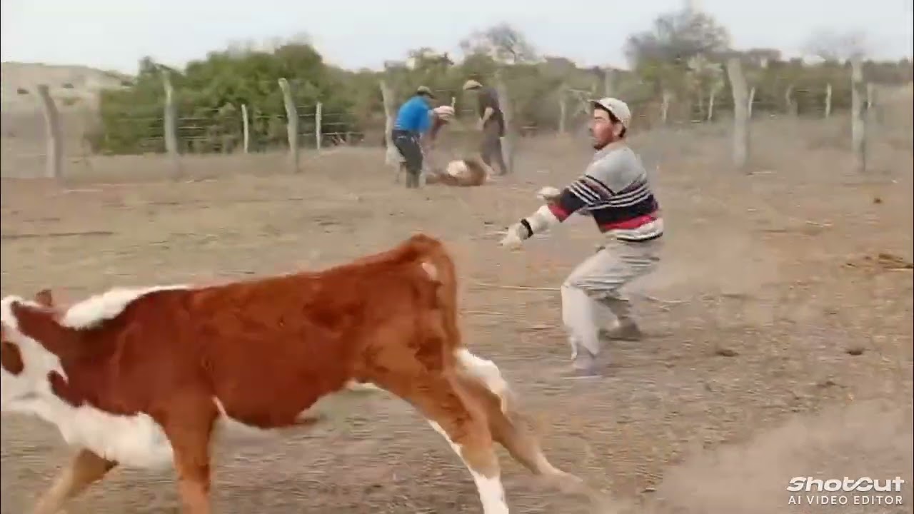 12 de octubre de 2025