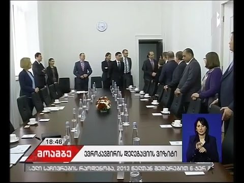 ევროპარლამენტის დელეგაცია ორდღიან ვიზიტს აჯამებს