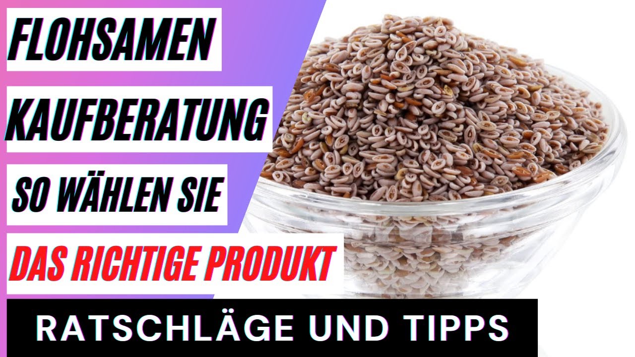 Wie Viele Flohsamen Pro Tag www.youtube.com