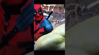 IM MARVEL JESUS YOU DULL CREATURE #foryou #deadpool #deadpoolandwolverinemovie #hulk #shorts
