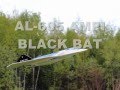 АЛ-605/ RC Plane  AL-605 BLACK BAT