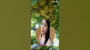 Wow Fruit Yummy #shortvideo #vlogs #satisfyingvideo 👉♥️🇵🇭