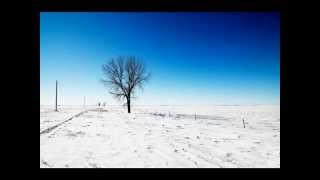 Reciter Shirazad Taher | Surah AlWaqi'ah