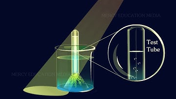 Oxygen is Evolved During Photosynthesis - Hydrilla Experiment