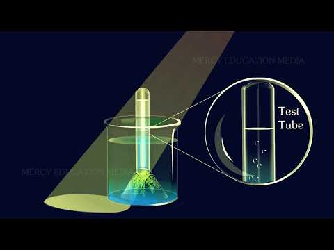 Vidéo: Comment Jan Ingenhousz a-t-il aidé à la découverte de la photosynthèse ?