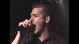 Stretch Arm Strong - 