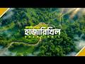 হাজারিখিল বন্যপ্রাণী অভয়ারণ্য | বাংলাদেশের গভীর জঙ্গলে রাত কাটালাম