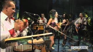 80' Factory - Midnight Lady / Cover - 80's music