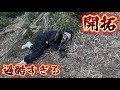 【ホームレス夫婦廃墟を買う#3】ジャングル状態の土地を本気で開拓した結果…