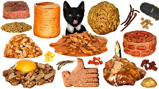 1 Hour Kitten Eating Food ASMR Compilation
