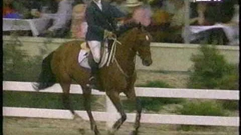 SHOWJUMPING: Leslie Steele -- the Glamour of Goodn...