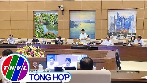 Cho ý kiến về dự án Luật bảo đảm trật tự, ATGT đường bộ