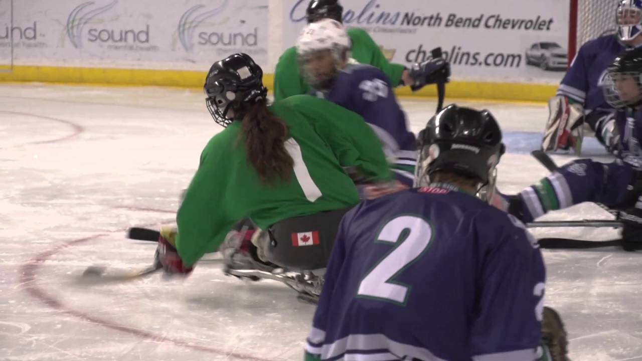 Sled Hockey YouTube