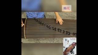 mei hua guzheng