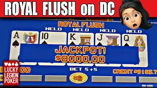ROYAL FLUSH $8000 on Dream Card Video Poker - Bonus Poker, Double Double Bonus, Deuces Wild screenshot 3