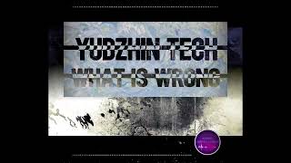 Yudzhin Tech - What Is Wrong [Music Destinations]