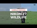 Nikon z7 wildlife footage
