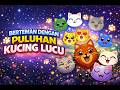 Aku kumpulkan puluhan kucing lucu untuk menjadi teman!