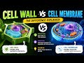 Important questions on cell wall and cell membrane
